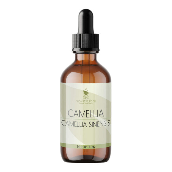 Camellia Seed Carrier Oil