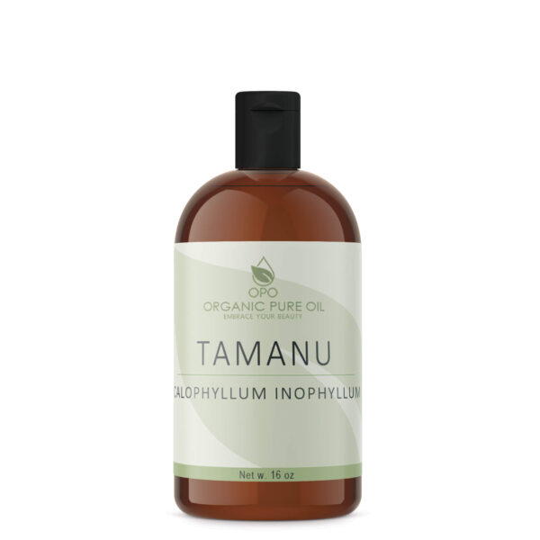 Tamanu Oil - Image 4