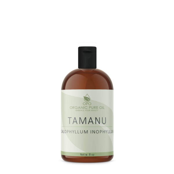 Tamanu Oil - Image 3