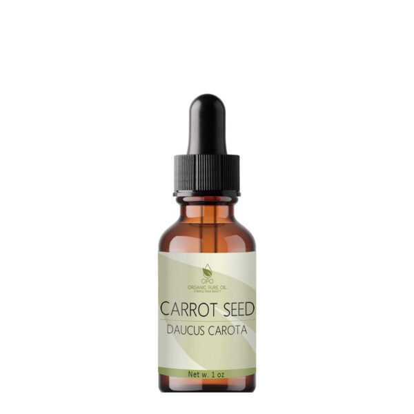 Carrot Seed Oil - Image 2